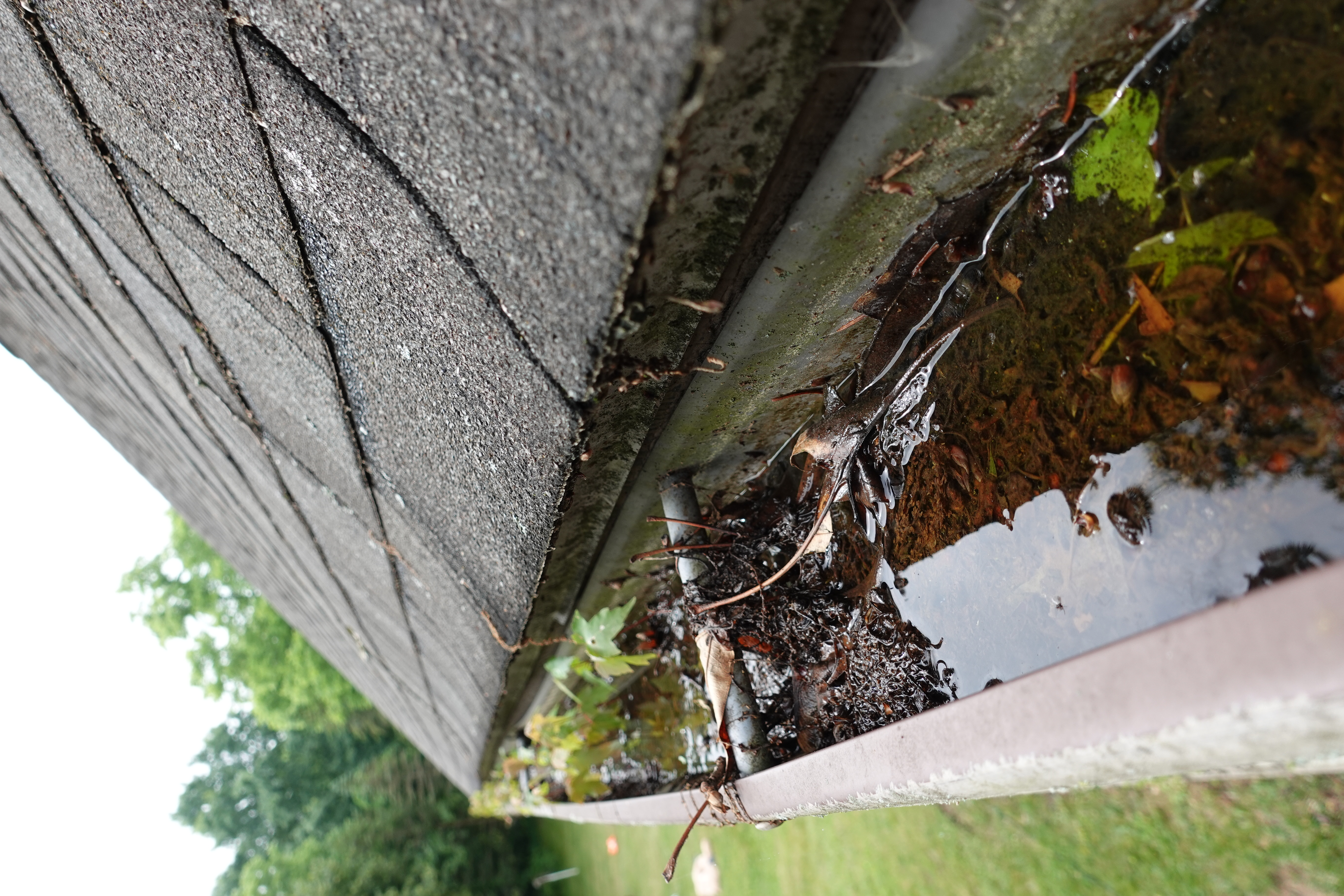 Gutter Cleaning